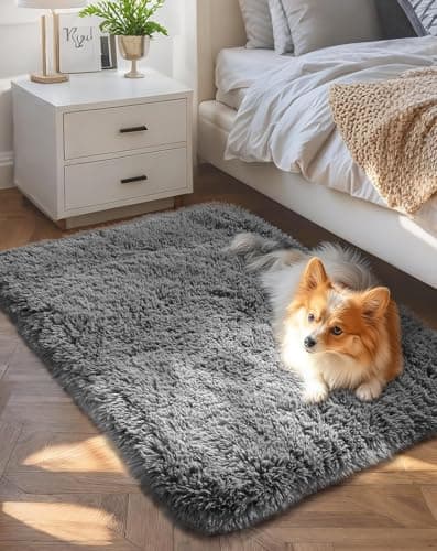 Ophanie 2x3 Non-Slip Bedside Throw Rug (Grey Shag) — Good Value per expert consensus