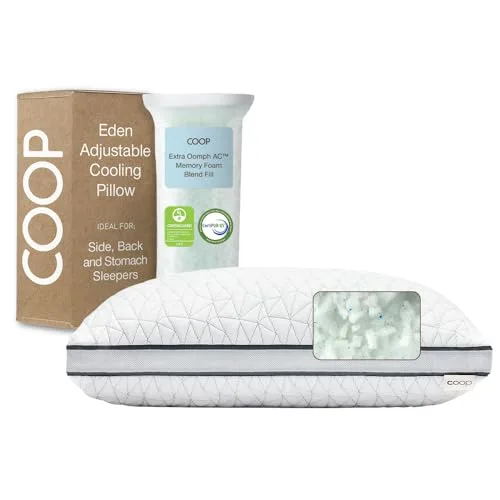 Coop Home Goods Eden Pillow — Must Buy per expert consensus
