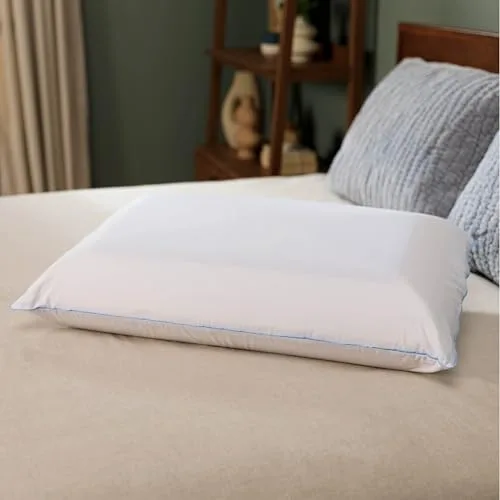 Tempur-Pedic TEMPUR-Cloud Pillow — Recommended per expert consensus